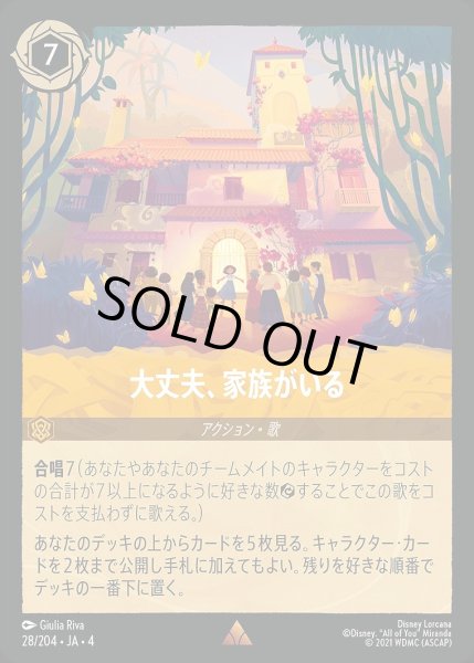 画像1: 大丈夫、家族がいる/アンバー【アクション】《28/204》 (1)