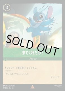 来てくれたの？ ロルカナ通販 メルカード